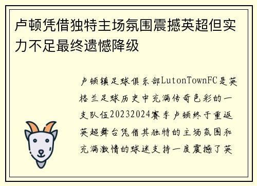 卢顿凭借独特主场氛围震撼英超但实力不足最终遗憾降级 卢顿凭借独特主场氛围震撼英超但实力不足最终遗憾降级