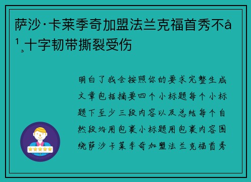 萨沙·卡莱季奇加盟法兰克福首秀不幸十字韧带撕裂受伤 萨沙·卡莱季奇加盟法兰克福首秀不幸十字韧带撕裂受伤